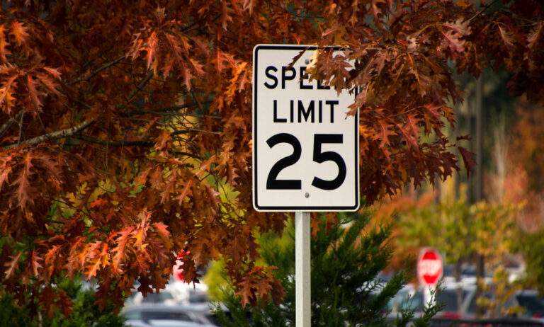 25 mph speed limit sign afront auburn-colored oak tree leaves.