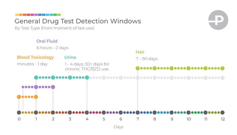 Drug testing detection window infographic