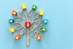 Blocks on a tree connect by branches. HR networking concept.